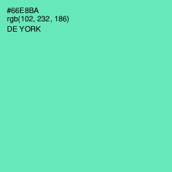 #66E8BA - De York Color Image