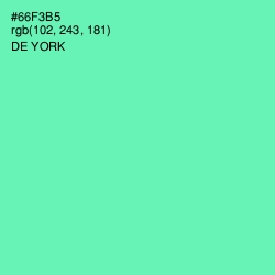 #66F3B5 - De York Color Image