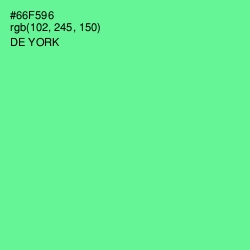 #66F596 - De York Color Image