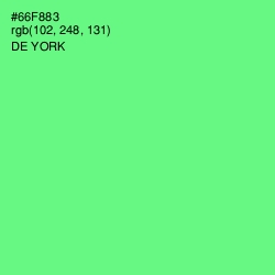#66F883 - De York Color Image