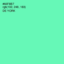 #66F8B7 - De York Color Image