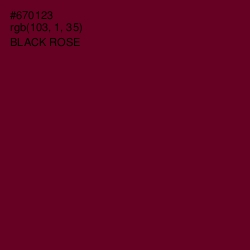 #670123 - Black Rose Color Image