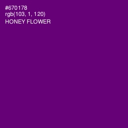 #670178 - Honey Flower Color Image