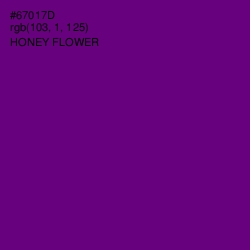 #67017D - Honey Flower Color Image