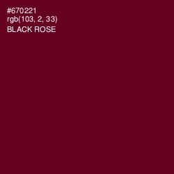 #670221 - Black Rose Color Image