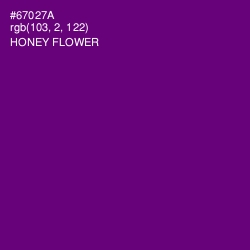 #67027A - Honey Flower Color Image