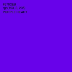 #6702EB - Purple Heart Color Image