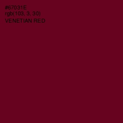 #67031E - Venetian Red Color Image