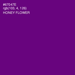 #67047E - Honey Flower Color Image