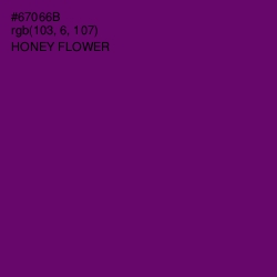 #67066B - Honey Flower Color Image