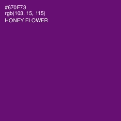 #670F73 - Honey Flower Color Image