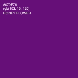 #670F78 - Honey Flower Color Image