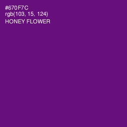 #670F7C - Honey Flower Color Image