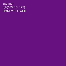 #67107F - Honey Flower Color Image