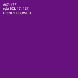 #67117F - Honey Flower Color Image