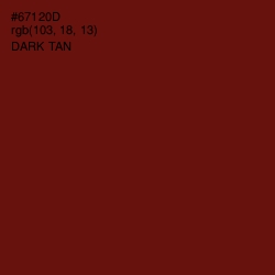 #67120D - Dark Tan Color Image