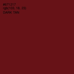 #671217 - Dark Tan Color Image