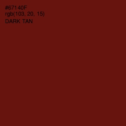 #67140F - Dark Tan Color Image