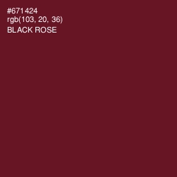 #671424 - Black Rose Color Image