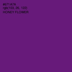 #671A7A - Honey Flower Color Image