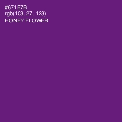 #671B7B - Honey Flower Color Image