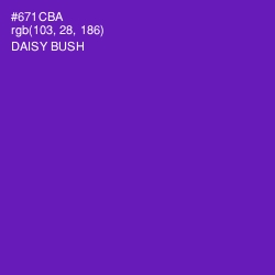 #671CBA - Daisy Bush Color Image
