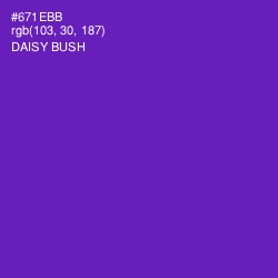 #671EBB - Daisy Bush Color Image