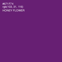 #671F74 - Honey Flower Color Image