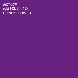 #67227F - Honey Flower Color Image