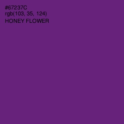 #67237C - Honey Flower Color Image