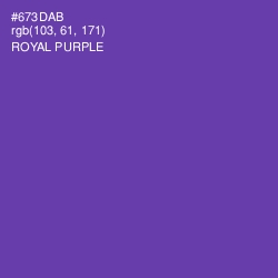 #673DAB - Royal Purple Color Image