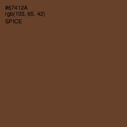 #67412A - Spice Color Image