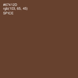 #67412D - Spice Color Image