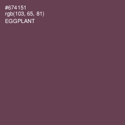 #674151 - Eggplant Color Image