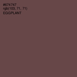 #674747 - Eggplant Color Image