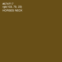 #674F17 - Horses Neck Color Image