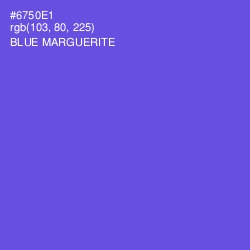 #6750E1 - Blue Marguerite Color Image