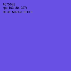 #6750E3 - Blue Marguerite Color Image