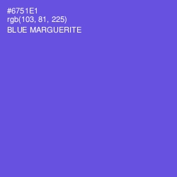 #6751E1 - Blue Marguerite Color Image