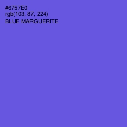 #6757E0 - Blue Marguerite Color Image