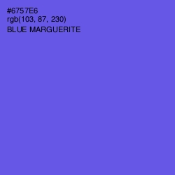 #6757E6 - Blue Marguerite Color Image