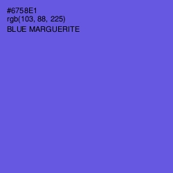 #6758E1 - Blue Marguerite Color Image