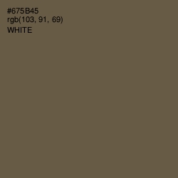 #675B45 - Tobacco Brown Color Image