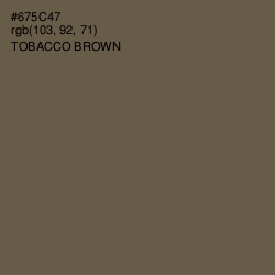 #675C47 - Tobacco Brown Color Image