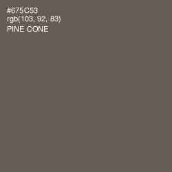 #675C53 - Pine Cone Color Image