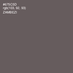 #675C5D - Zambezi Color Image