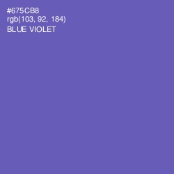 #675CB8 - Blue Violet Color Image