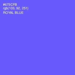 #675CFB - Royal Blue Color Image