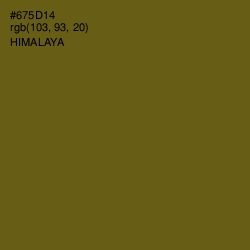 #675D14 - Himalaya Color Image