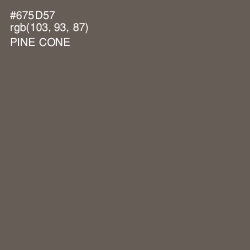 #675D57 - Pine Cone Color Image